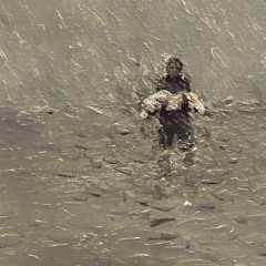 لا إخوة لك يا أخي- درويش والقباطي