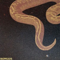 BONGOS (STEVIE WILLIAMS REMIX)