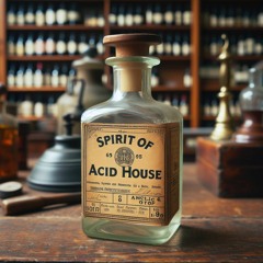 spirit of acid house [acid house indie disco dj mix]
