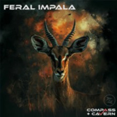 Feral Impala