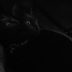 Demons (Feat. Levvi , kid savage, & ESI)