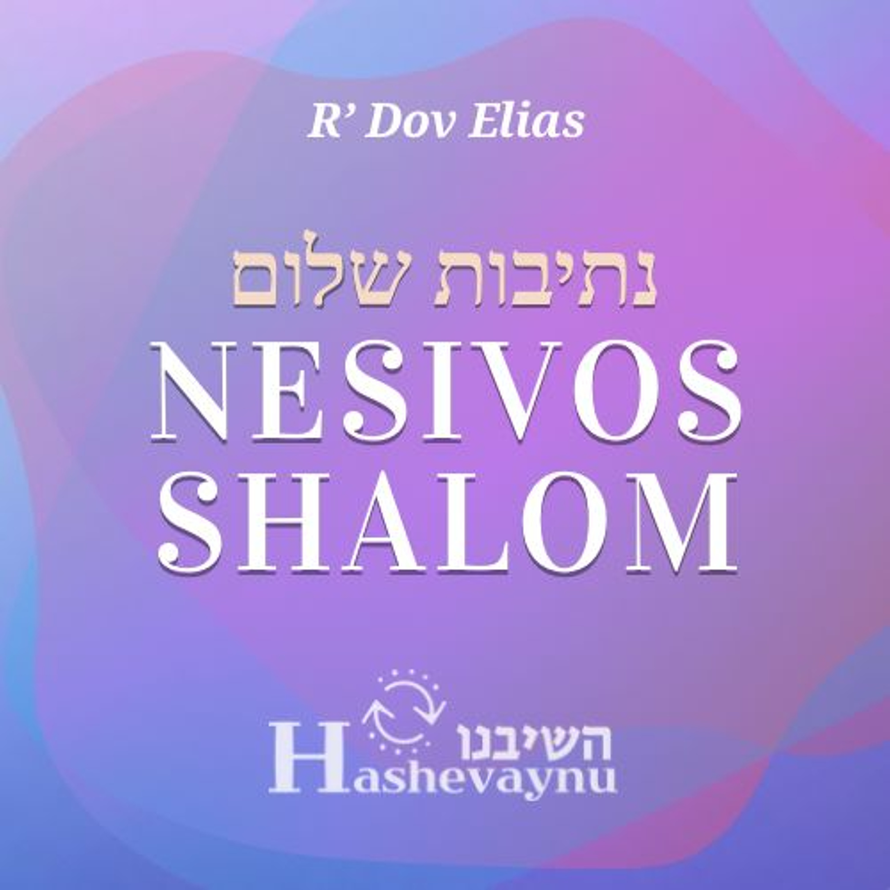 Nesivos Shalom 5784 - Kedoshim: Shabbos-Our Core Relationship