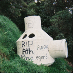 sight3