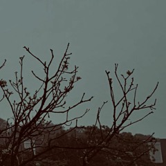 Letterfold [b-side]
