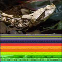 (Psychedelic-Trance-Complicated-Dark-Hitech) Track No: 5986.