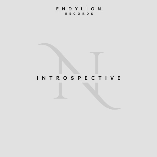 Introspective (Original Mix)