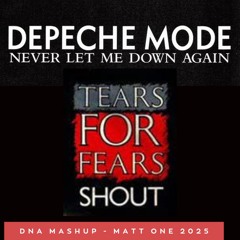 Depeche Mode & Tears For Fears - Never Let Me Down Again / Shout (DNA Mashup - Matt One 2025)