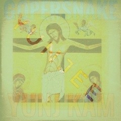 0    ㊙️Tyjin Gopersnake