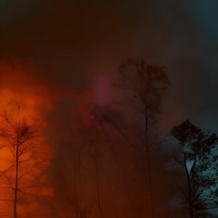 forest fire