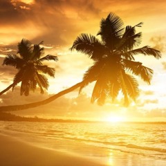Vitamin D(isco) Sessions