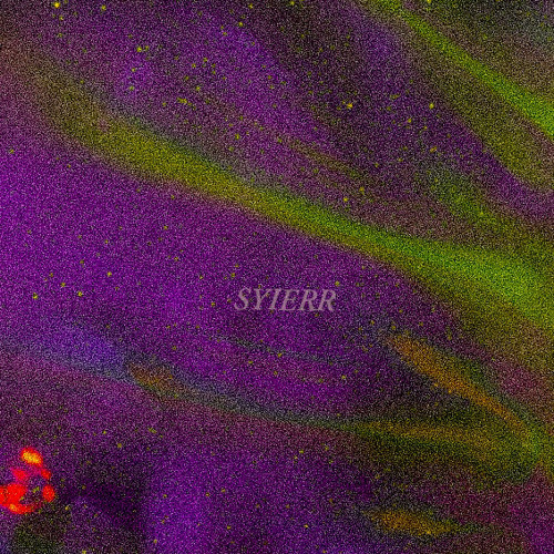 CHANGE PROD NOEVDV