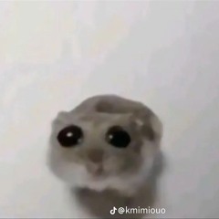 Tuổi Trẻ Thế Hệ Bác Hồ - Oriion Remix_Tùng Dương _ 2005 MUSIC - 2005 MUSIC (youtube).mp3