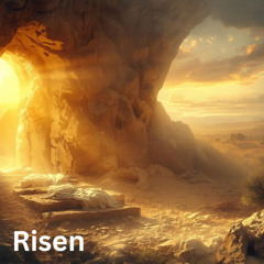 Son of the Carpenter