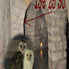 get a ni$$a gone + Blxxddythuglxve