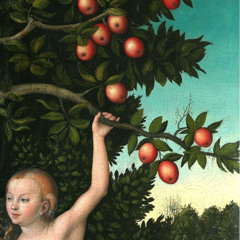 desmorrugando el fruto (prod. ModdaScareGirls)