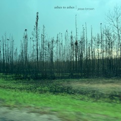 ashes to
