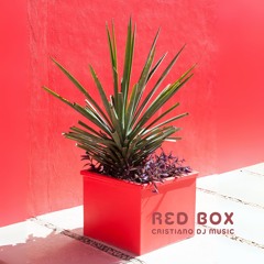 Red Box  Cristianodjmusic  Minimal  Tech  House