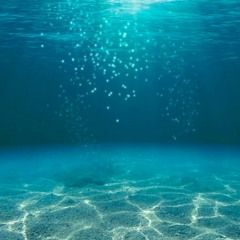 Hydrophone Exemple