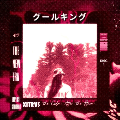 Stream Xitrvs | Listen to The Calm After The Storm (DISC 1