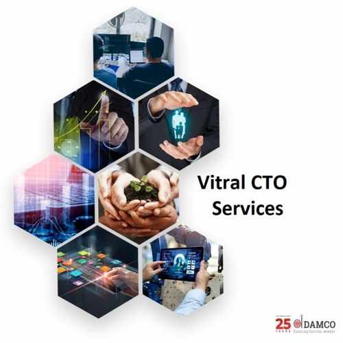 Revolutionize Your Business Processes by Hiring Virtual CTO