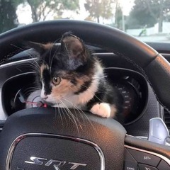 katy perry - last friday night (pluggnb remix) prod. 2aleb