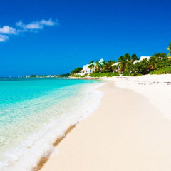 The Isle of Reggae-Original SABBAVOX