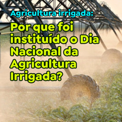 Por que foi instituído o Dia Nacional da Agricultura Irrigada?