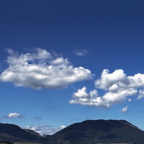 Under fluffy clouds