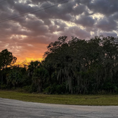 Florida Lifemaker