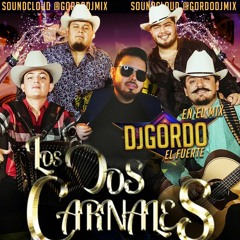 Dos Carnales Mix -Dj Gordo June 2020 Mixdown
