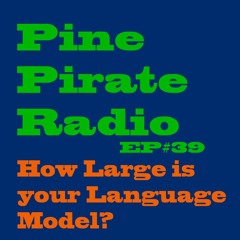 PPR39 - How Large Is Your Language Model