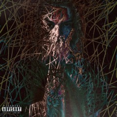 The Experi-Mental Tapes