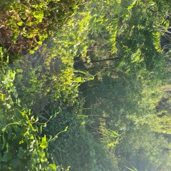 By The River #1