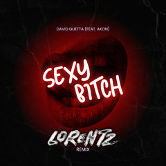 David Guetta (Feat. Akon) - Sexy Bitch (Lorentz Remix)