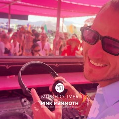 Mitch Oliver - Pink Mammoth - Burning Man 2025