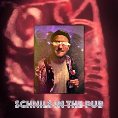 SCHNILS IN THE PUB (Free Download)