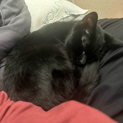 i think of you late at night (prod. neverforever)