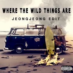 Bryce Vine - Where the Wild Things Are (JEONGJEONG EDIT)