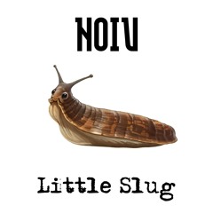 Little Slug