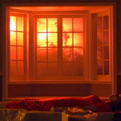 Origami Pigeon - I Wish I Never