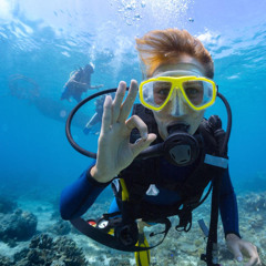 Scuba (walronD!) 🤿🤿