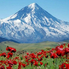 rooftop vibes vol. 1