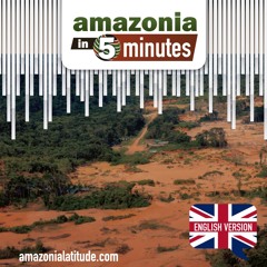 Amazon in 5 minutes: Illegal mining and new director of the National Institute