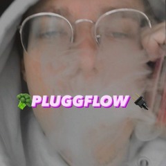 PLUGGFLOW