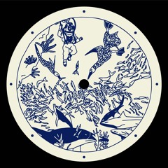 Various (Solidwood, Sans Sucre, Soyouz & Groenogen, Human Logo) - Synchronized Hunting (DW02)