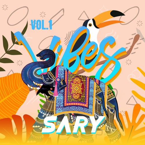 VIBE VOL.1 By DJ SARY