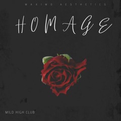Mild High Club - Homage (S L O W E D + Reverb) [TikTok Version]