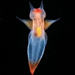 OTLTA(one thing led to another)