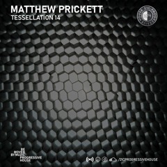 Matthew Prickett | Tessellation 14