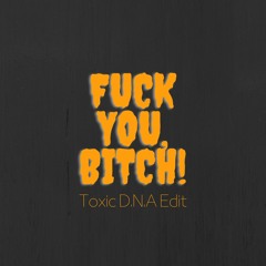 Fuck you, Bitch! (Toxic D.N.A Edit) Free Download